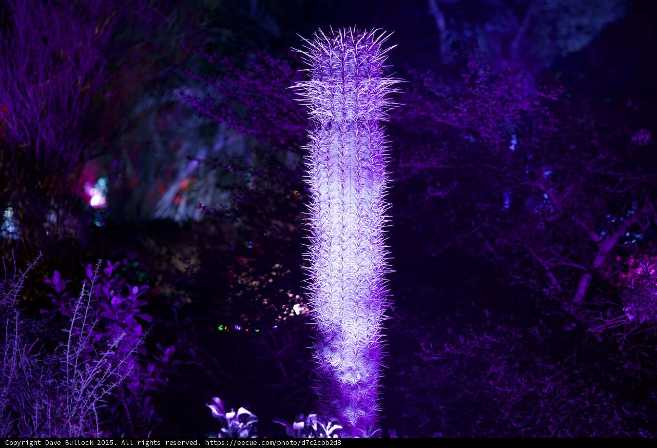 Enchanted Spire