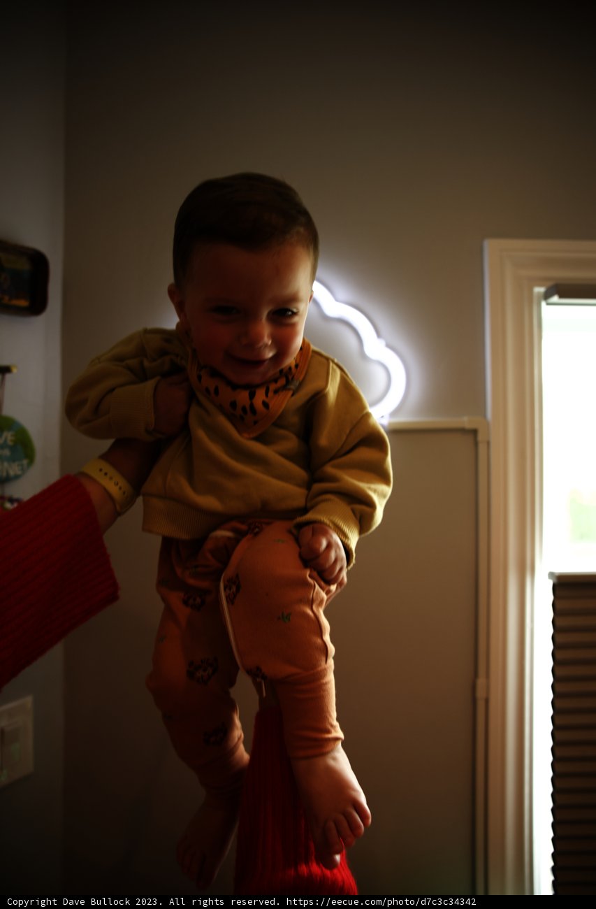 Wesley's Adorable Portrait