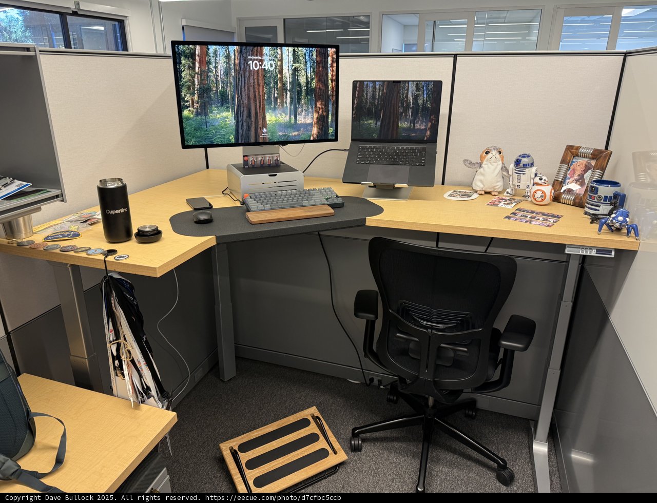 A Tech Haven in Cupertino