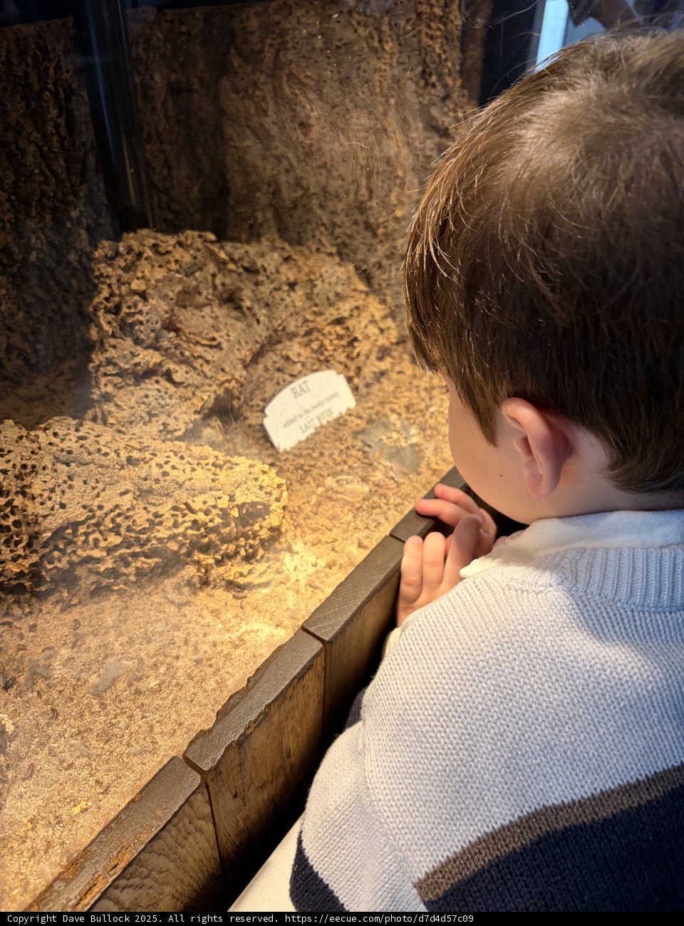 Young Explorer's Fascination