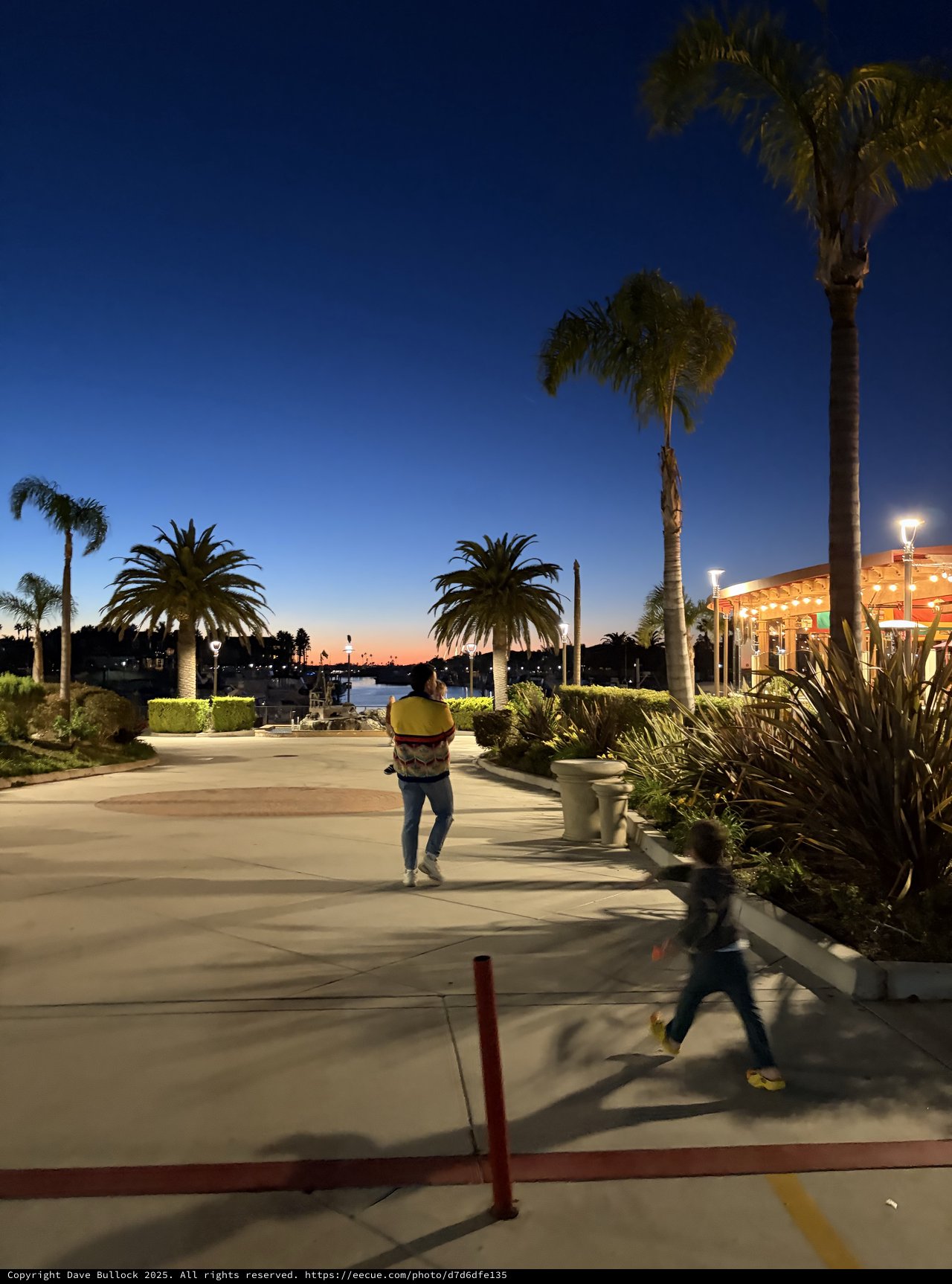 Children Playing at Sunset on Palm-Lined Waterfront Plaza