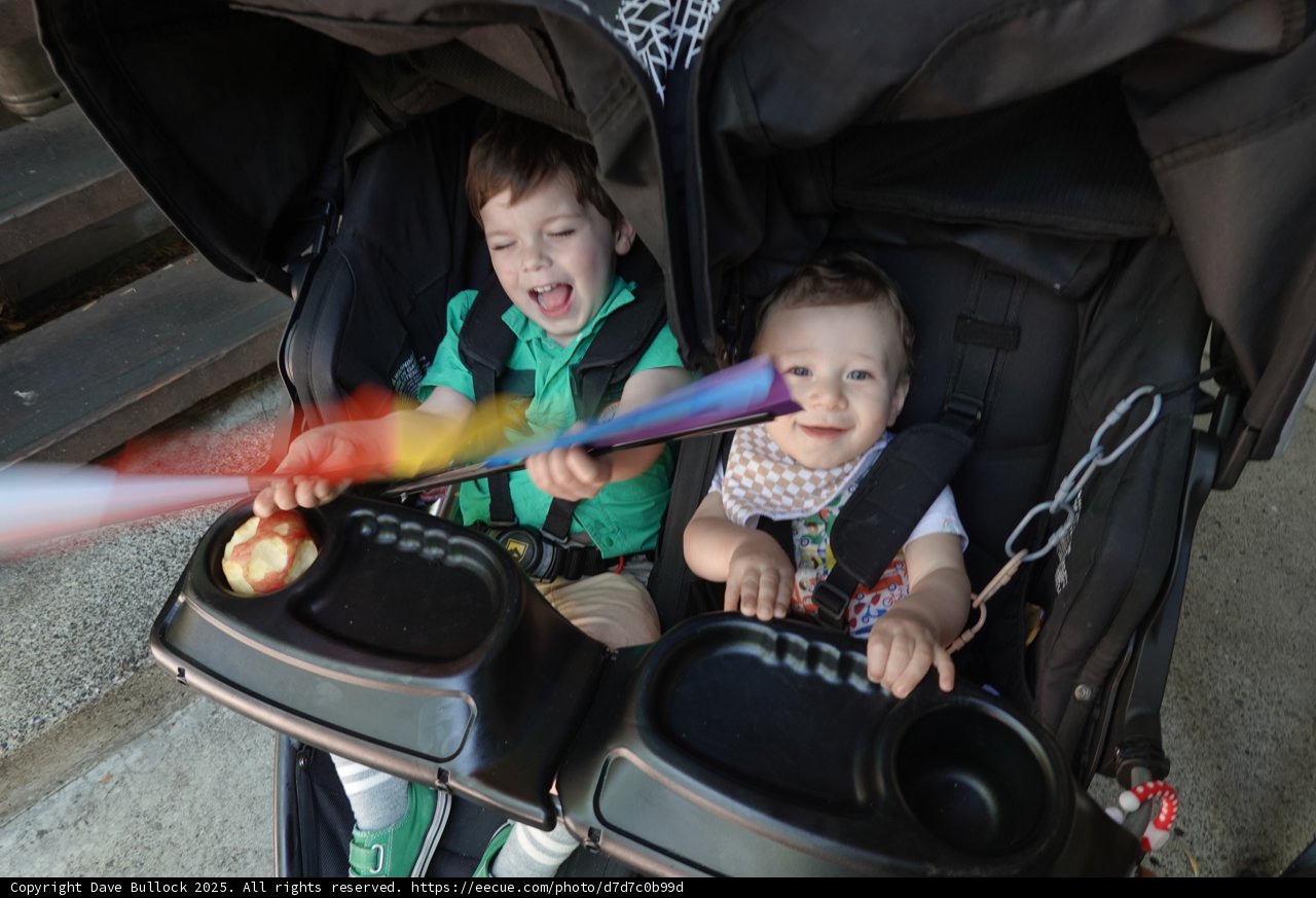 Joyful Adventures in Motion