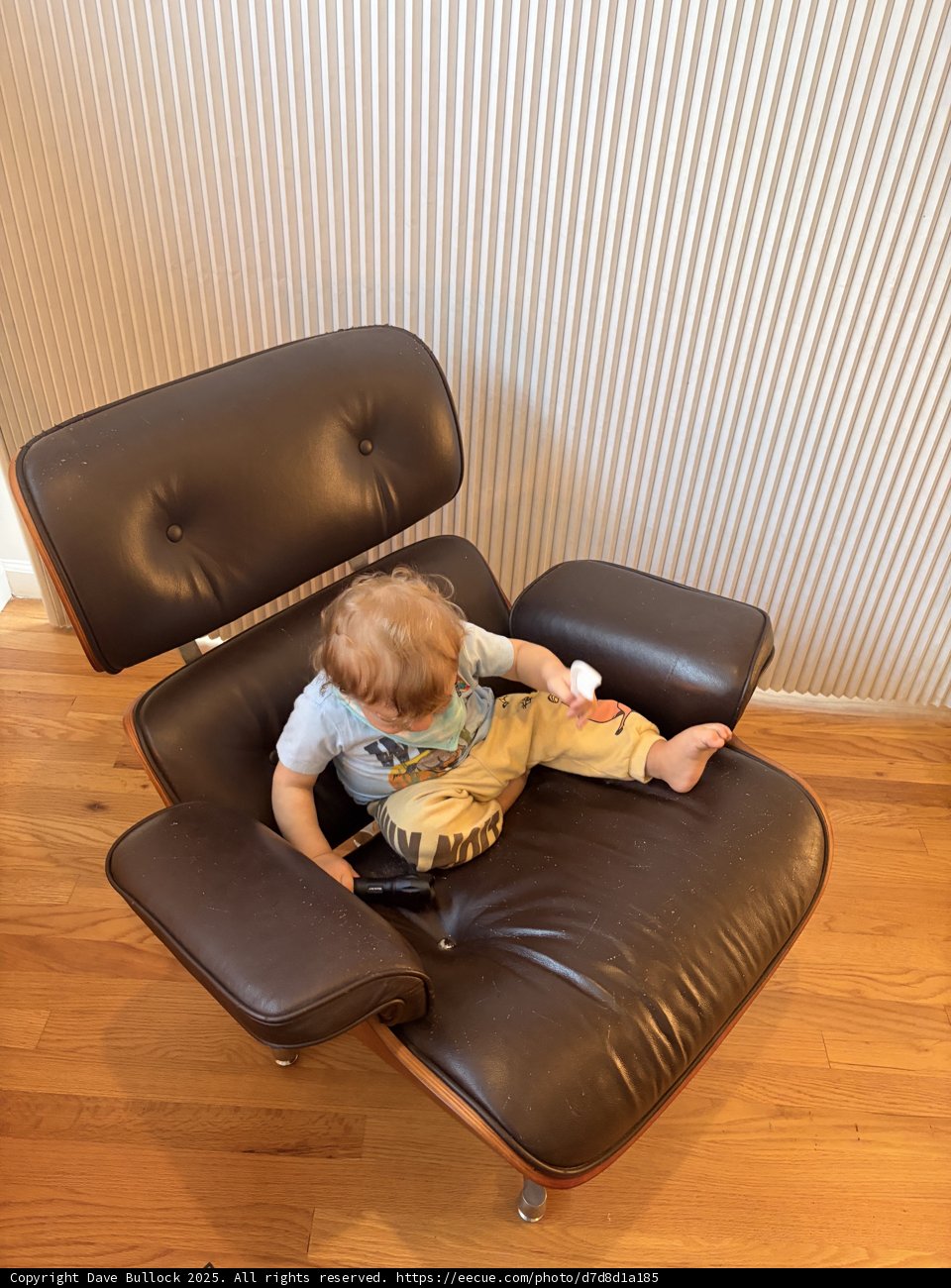 Cozy Moments in a Comfy Chair