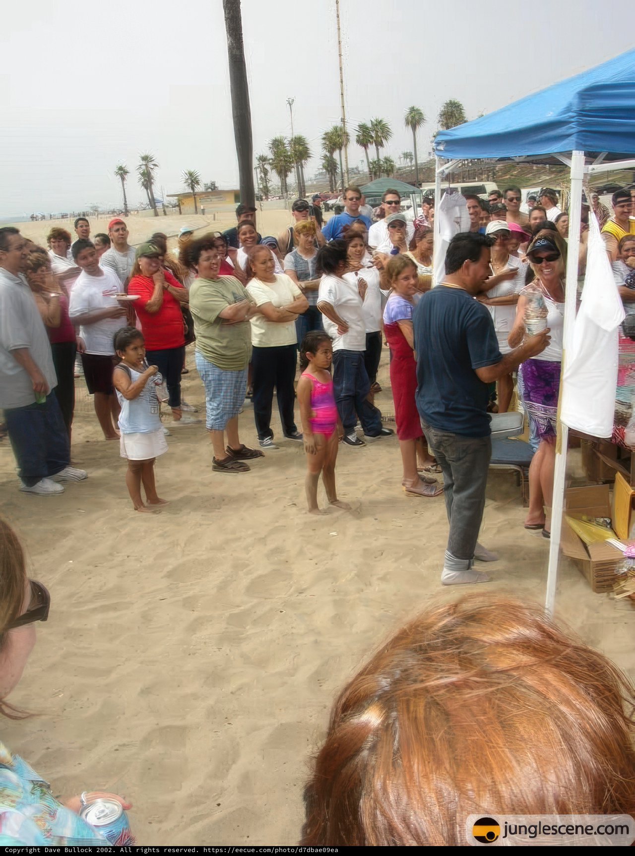 Beach Barbecue Bonanza