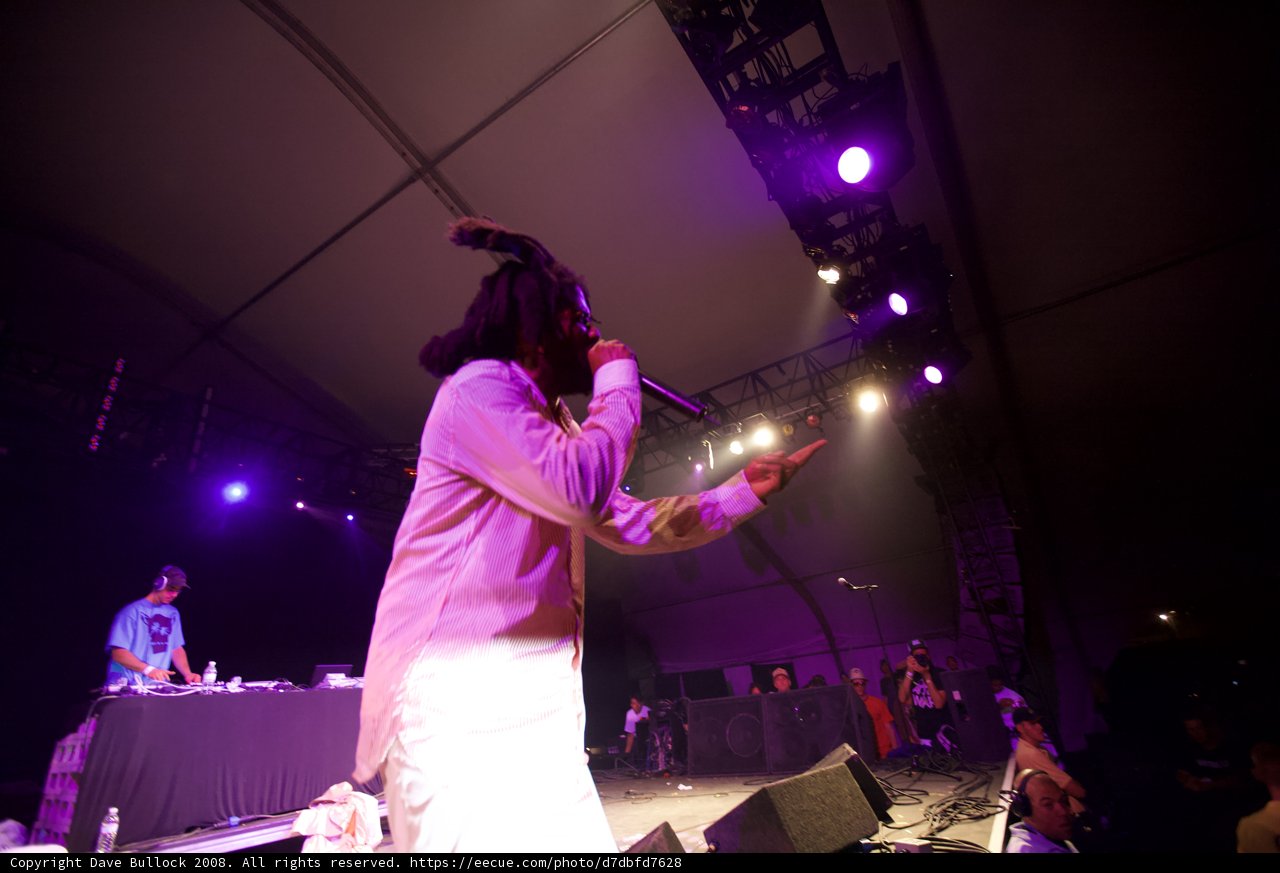 Nash the Slash Rocks Coachella