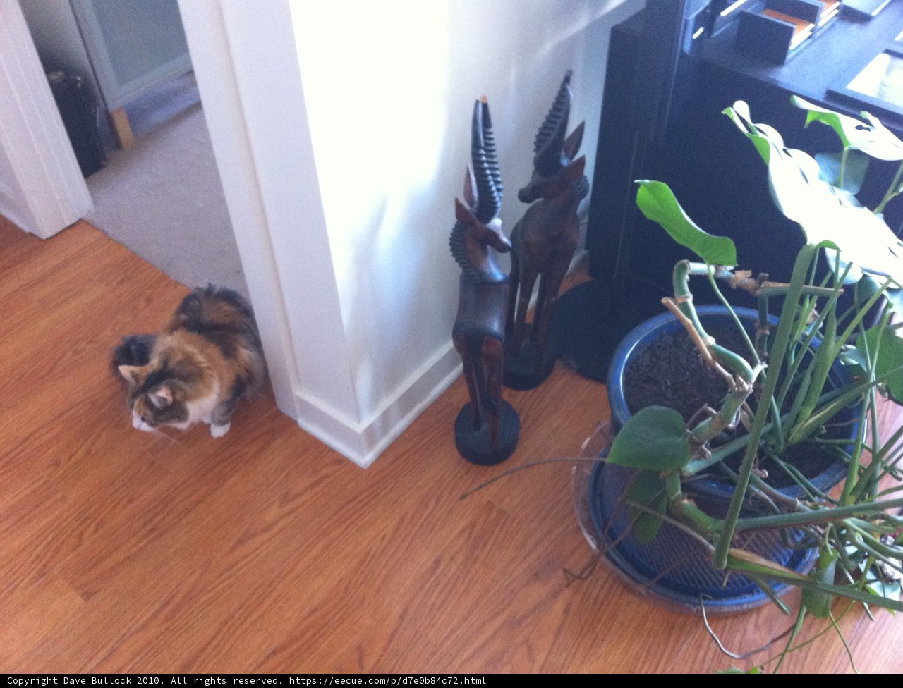 Potted plant pals
