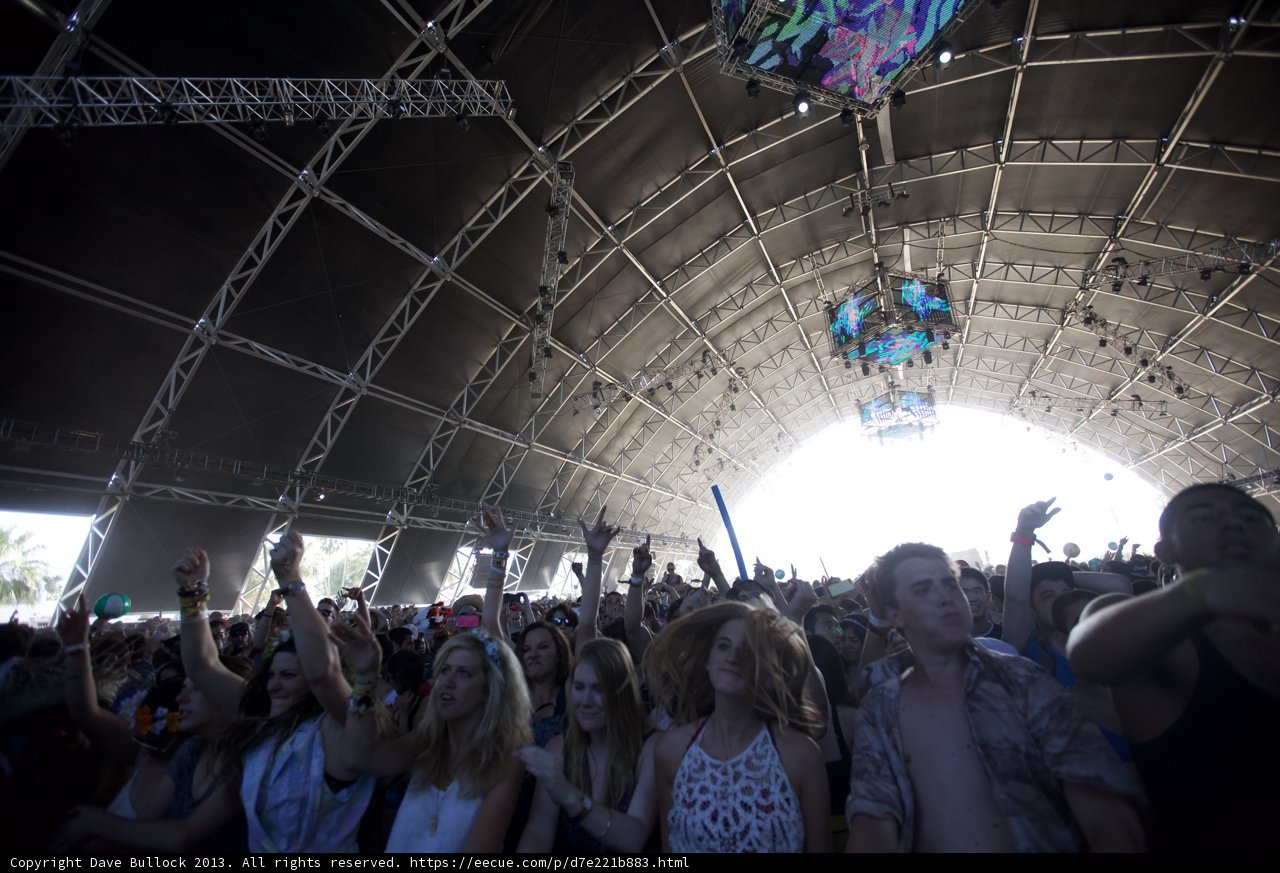 Festival Fever