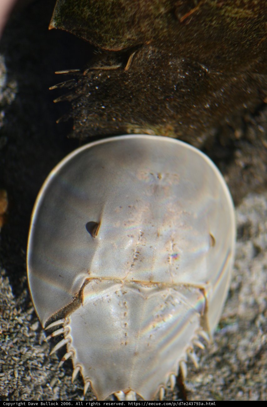 Tiny Head, Big Personality