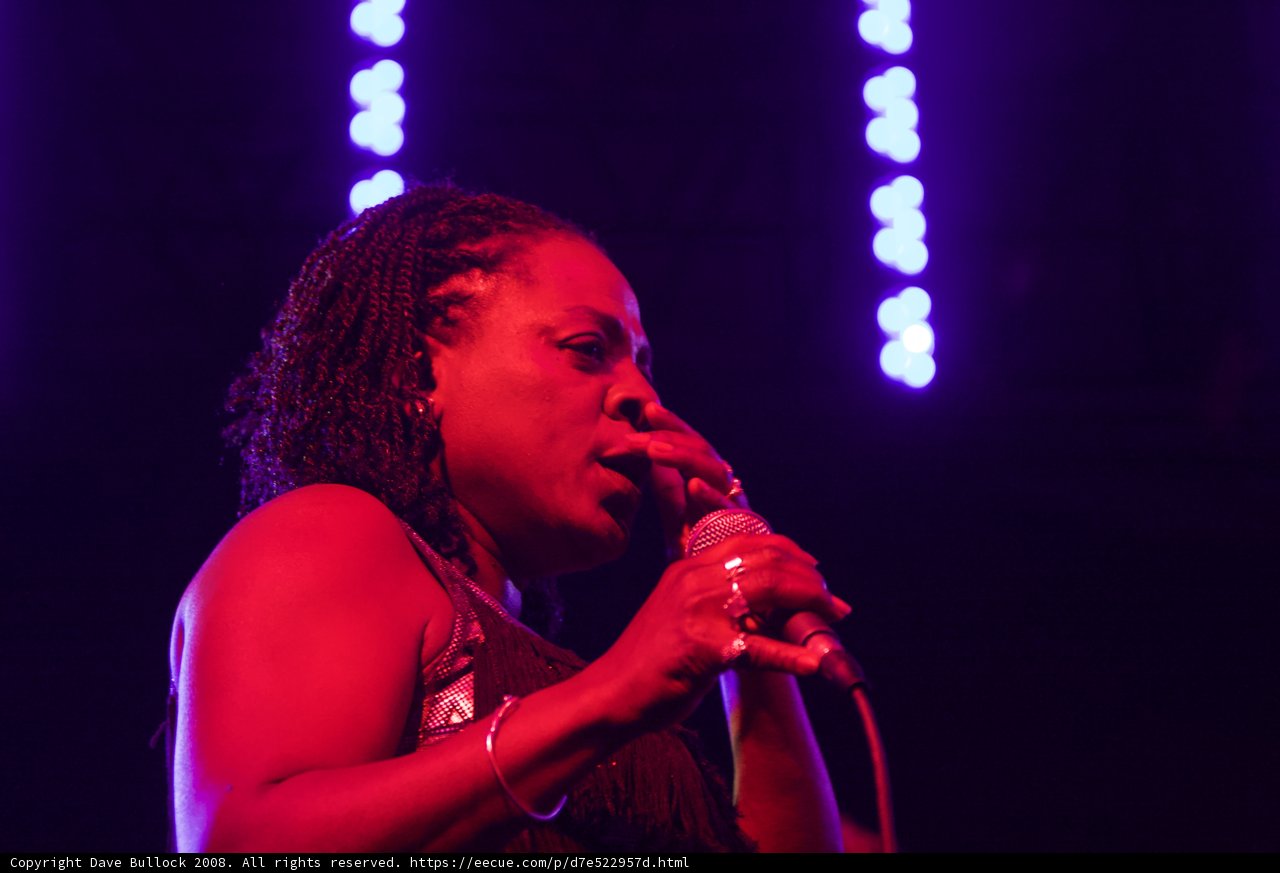 Spotlight on Entertainment