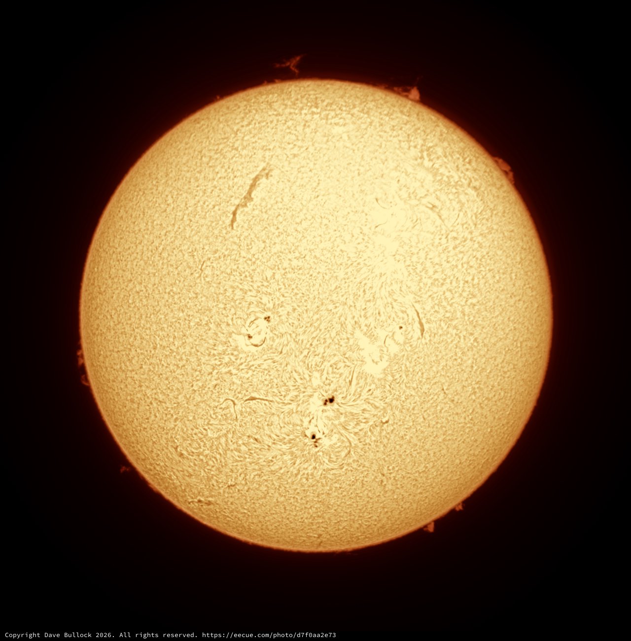 The Sun in Hydrogen-Alpha: Full Solar Disk