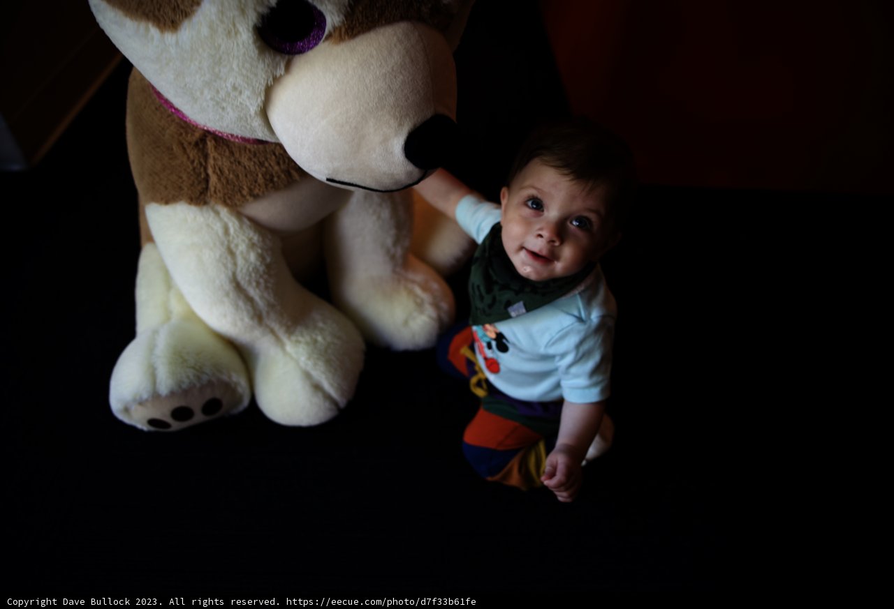 Wesley's Playtime Adventures