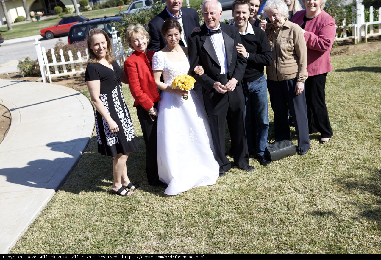 Wedding Party in the Garden