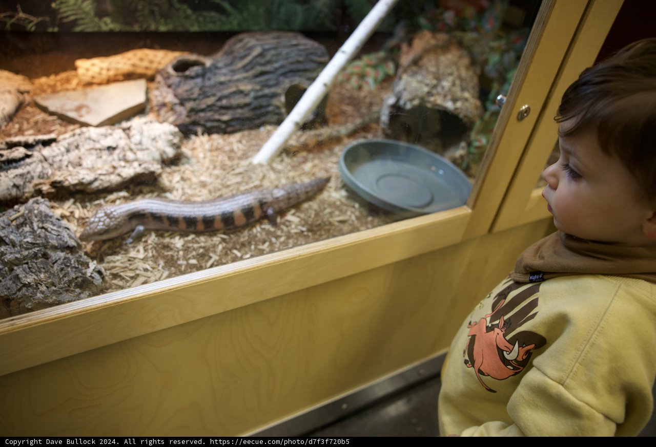 Captivated by Creatures: A Visit to Lawrence Hall of Science