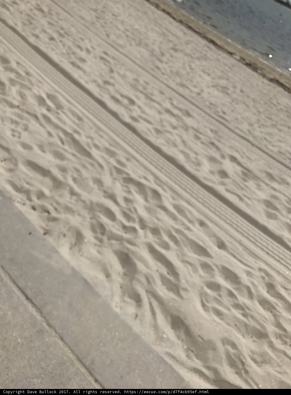 Serenity on the Shoreline