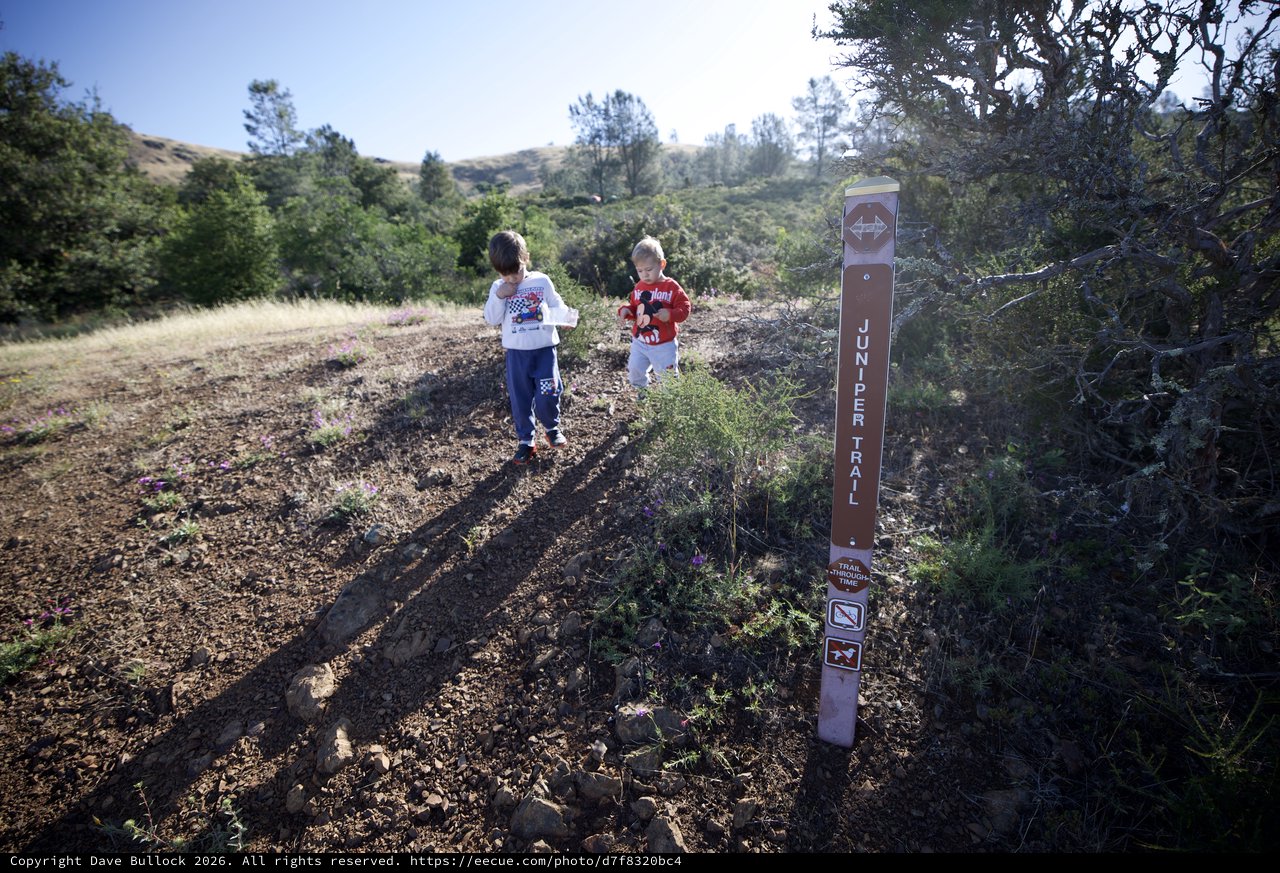 Young Explorers Discover Juniper Trail on Mt. Diablo