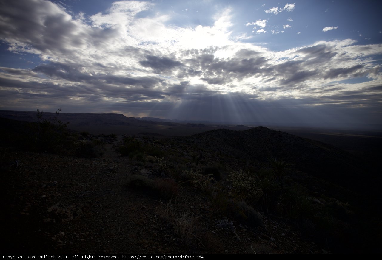 Desert Sunrise