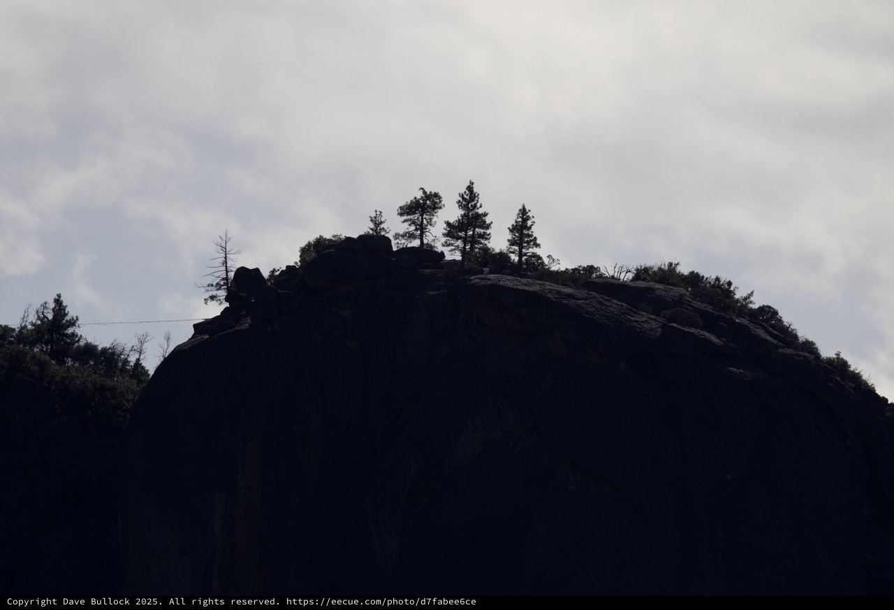 Silhouetted Rocky Summit with Evergreens at Dusk