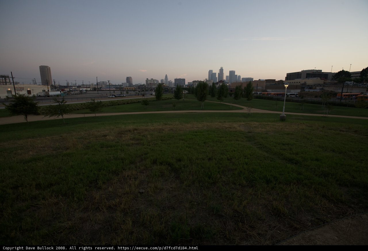 Cityscape Oasis