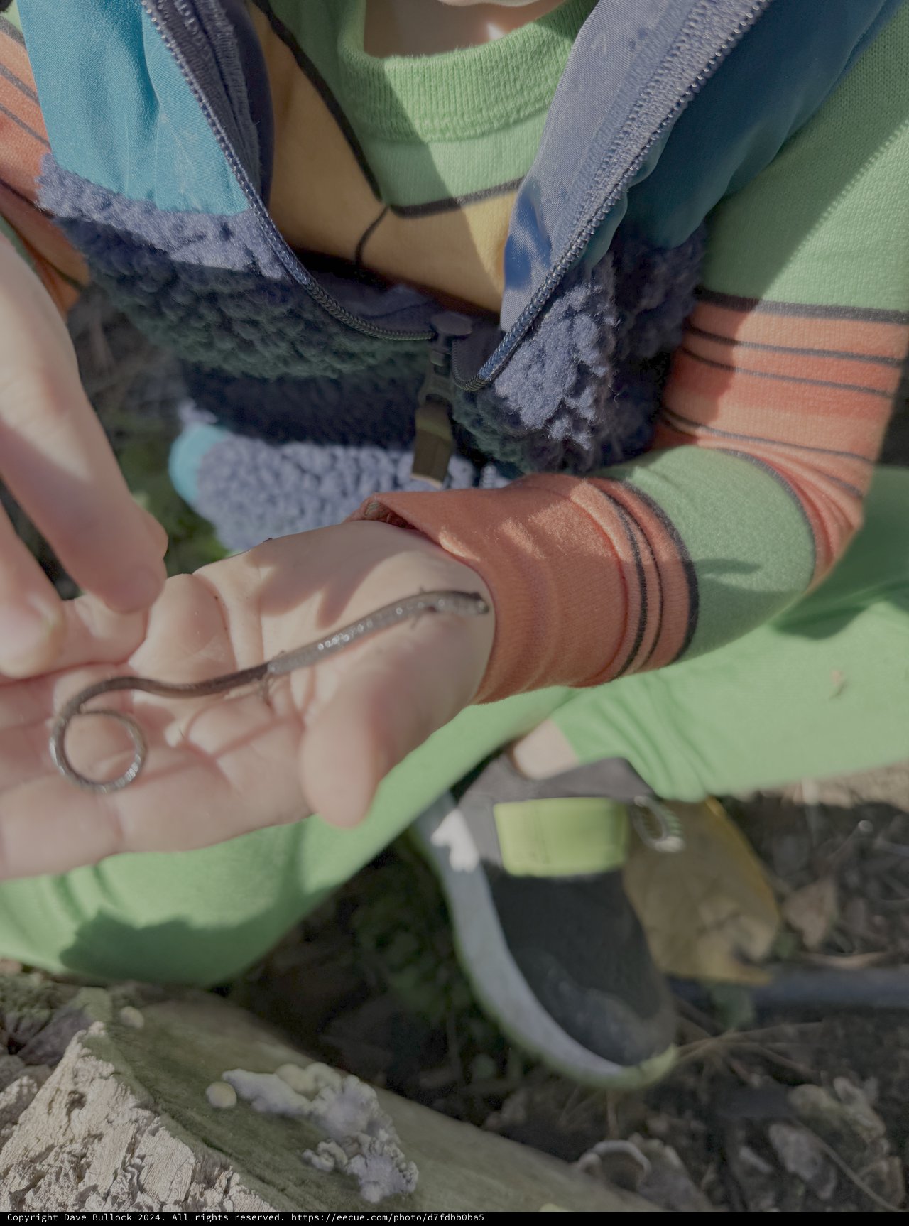 Rescue Worker's Hand Reaching for Safety Equipment