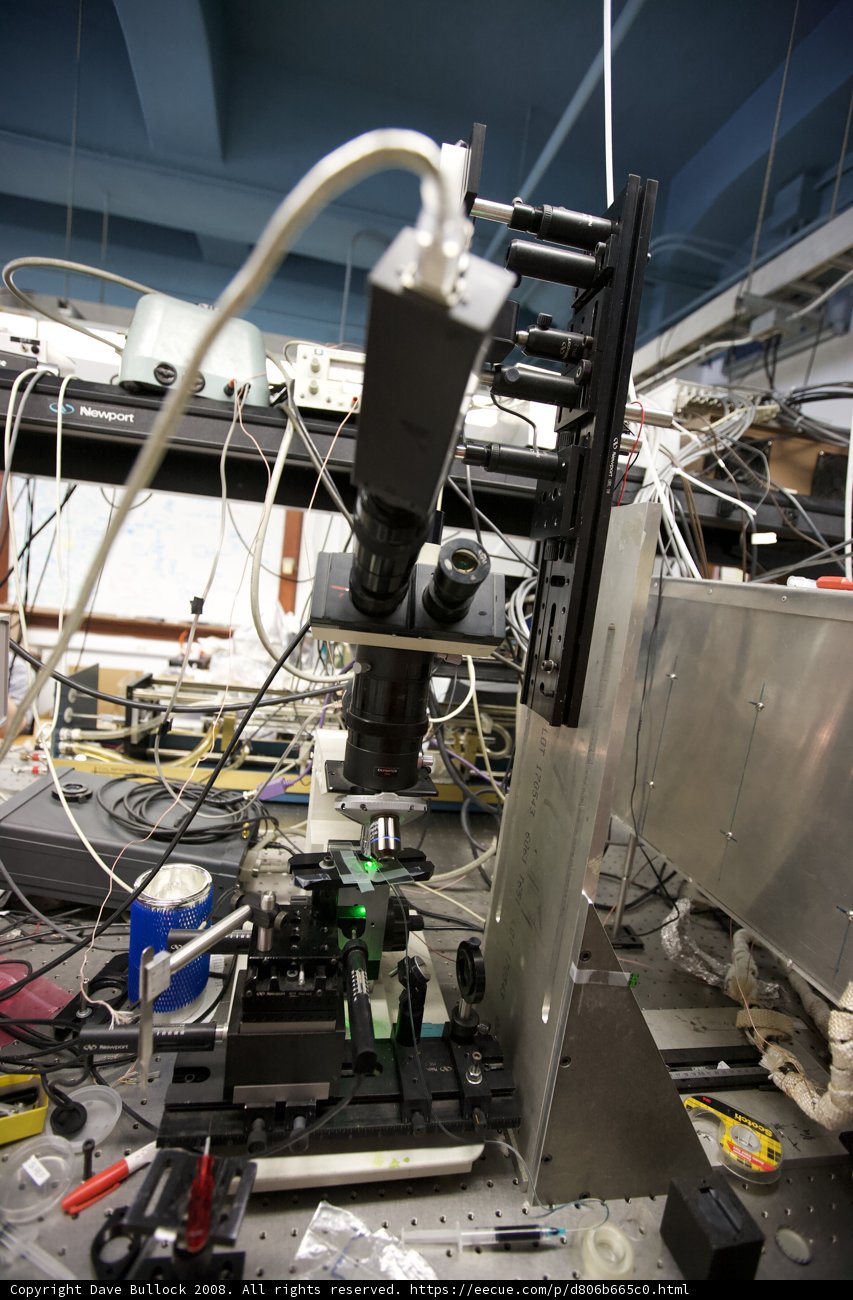 Uncovering the Unseen World: A Microscope in the Lab