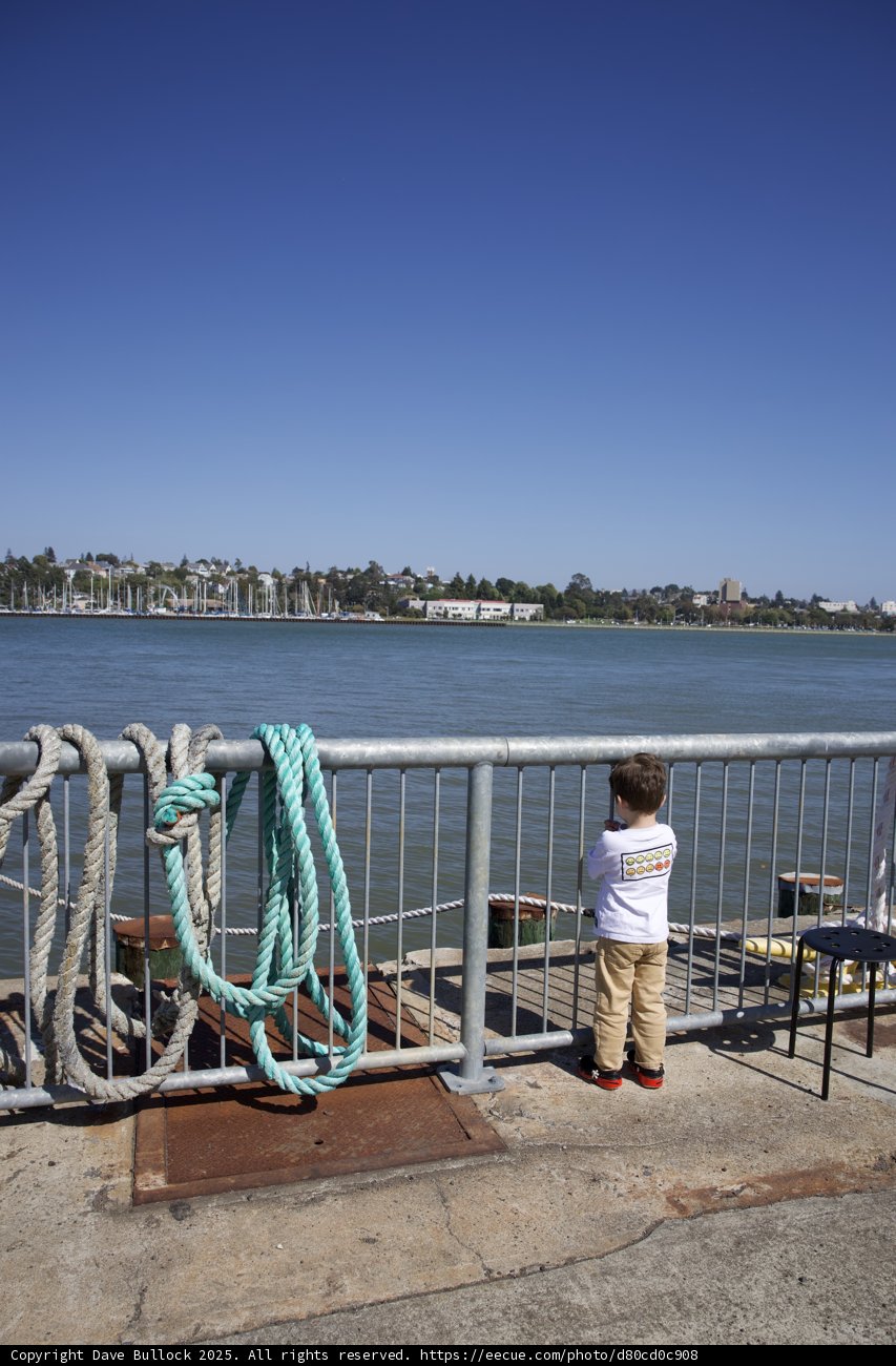 Little Explorer by the Waterfront