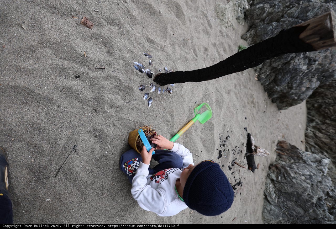 Young Explorer Plays in the Sand by Rocky Shore