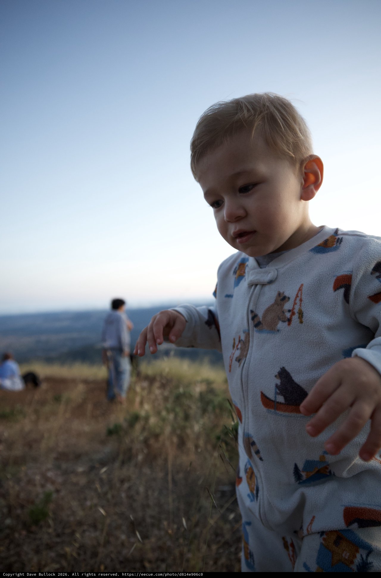 Toddler Explores the Summit of Mount Diablo