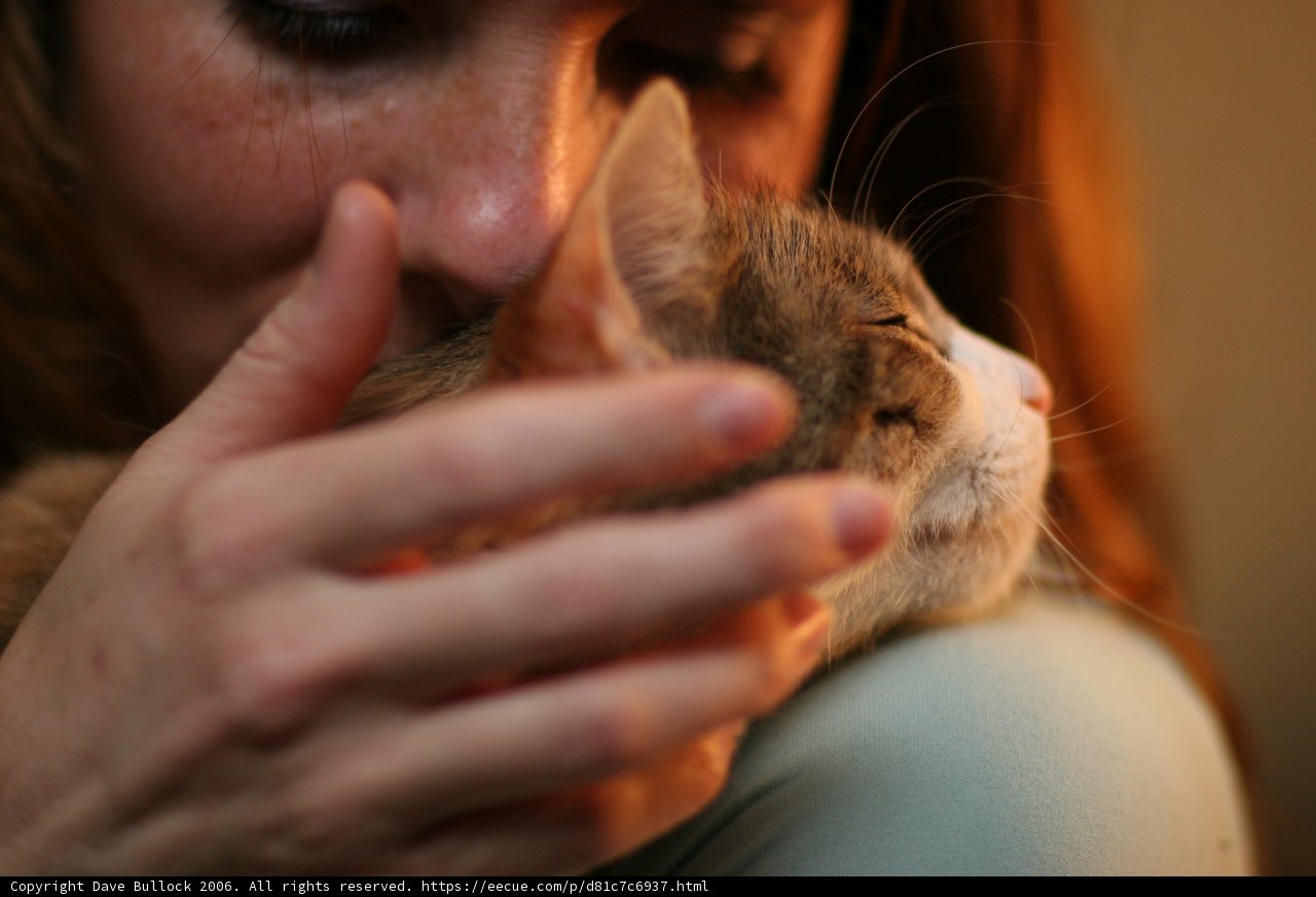 Furry Smooches