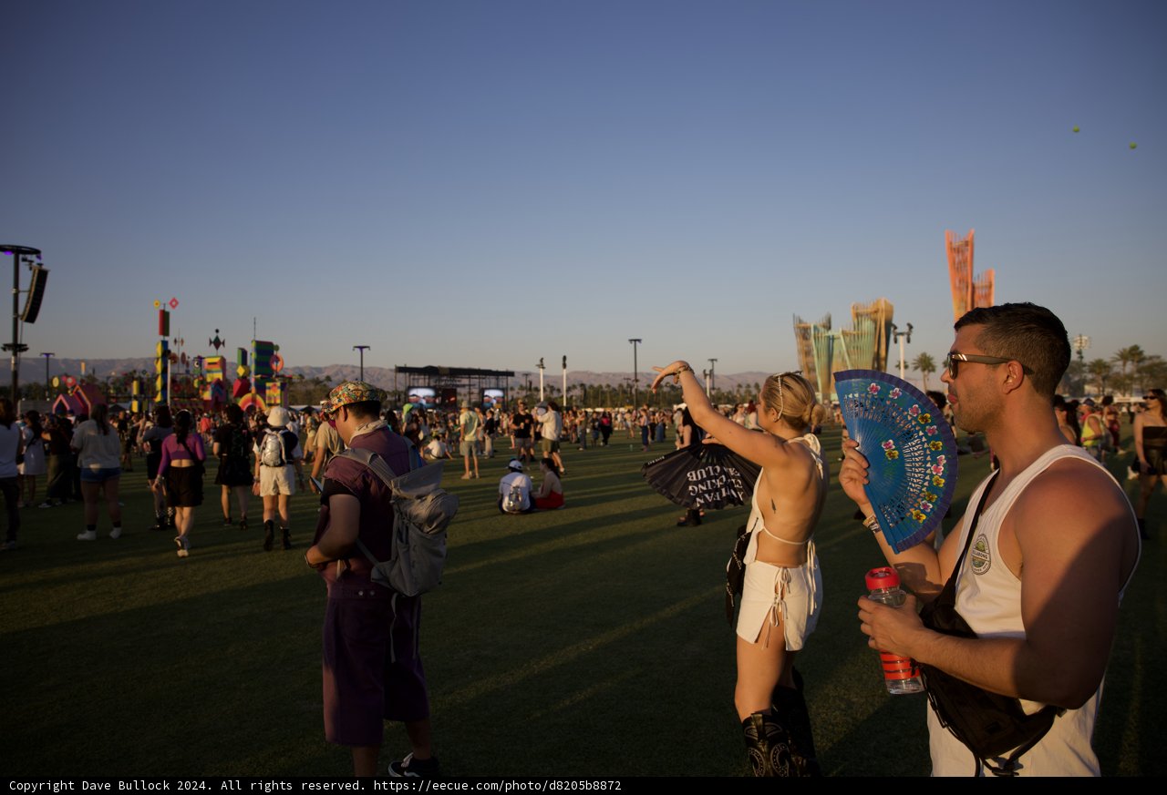 Vibrancy and Verve: Coachella 2024
