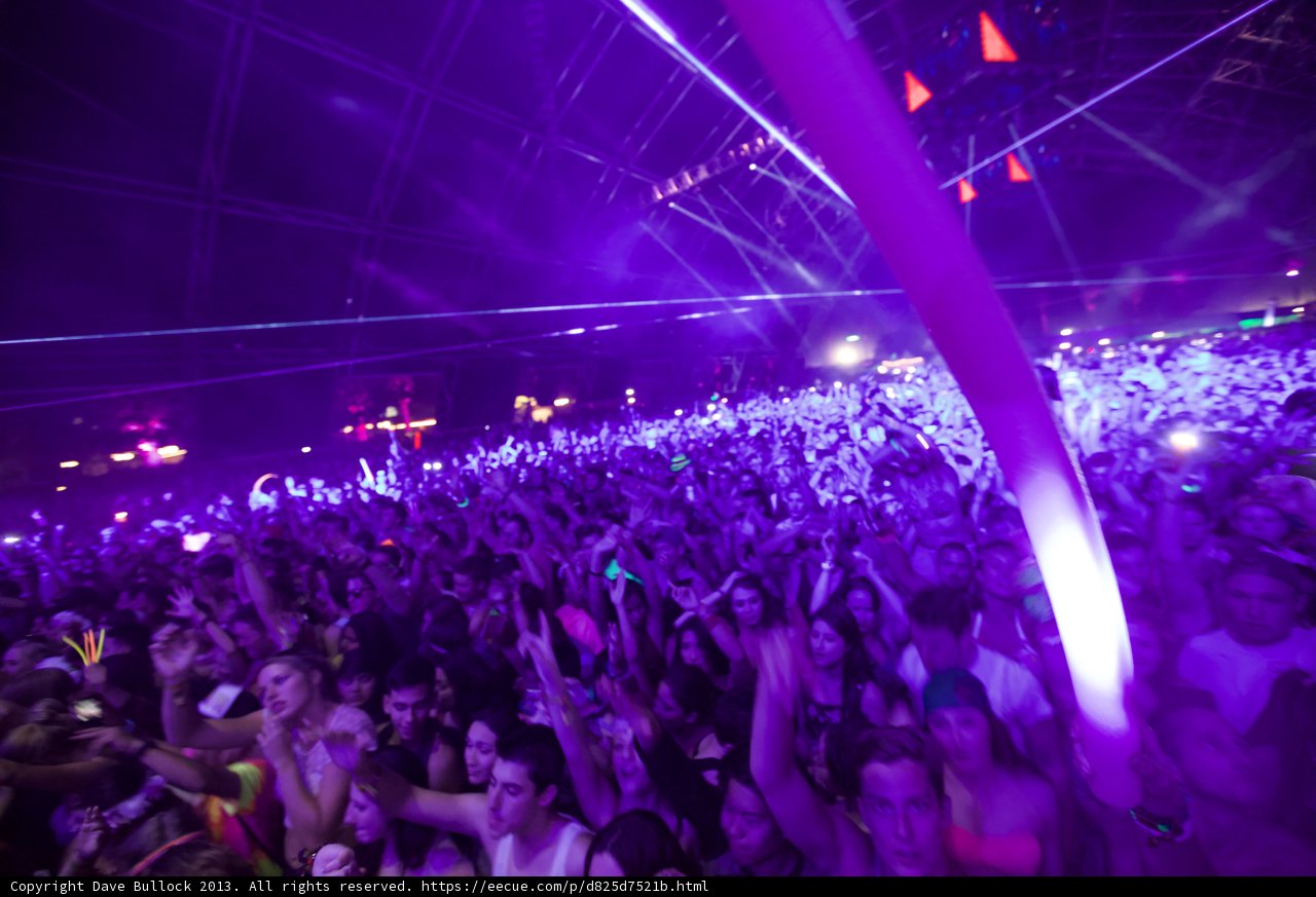Purple Haze