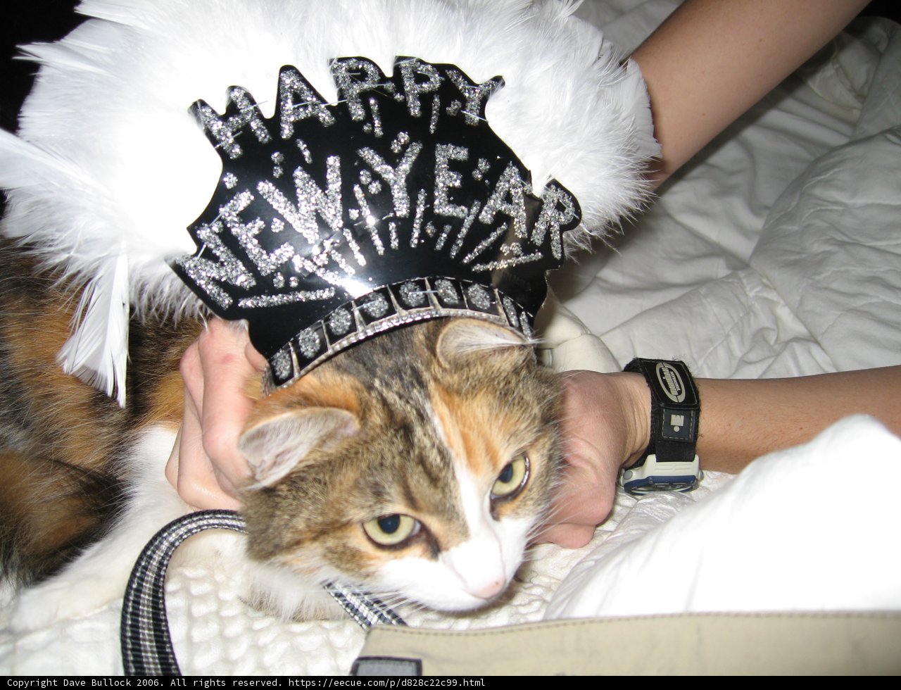 Ringing in the New Year with Style