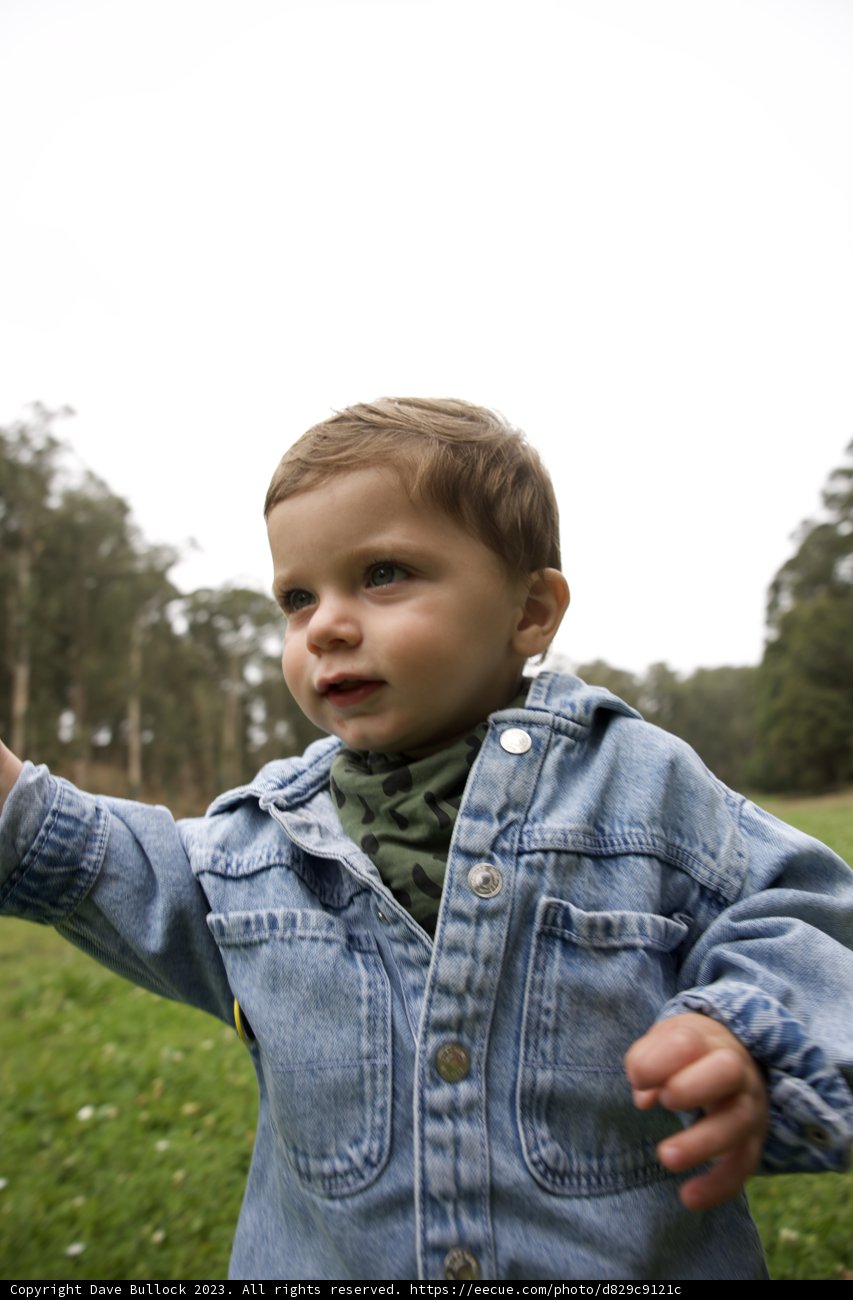 Celebrating Five in Nature