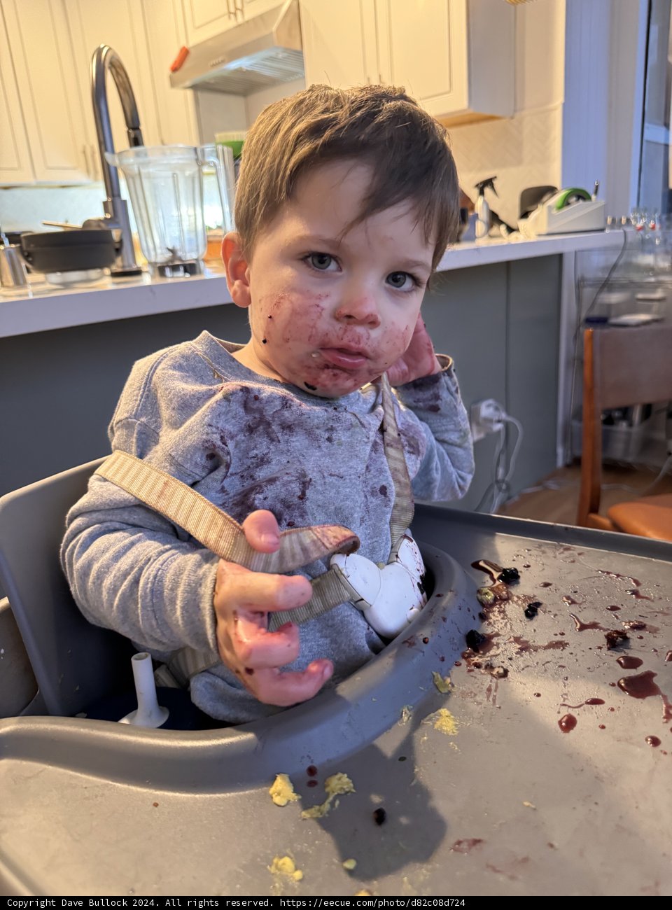 Kitchen Adventures with Wesley