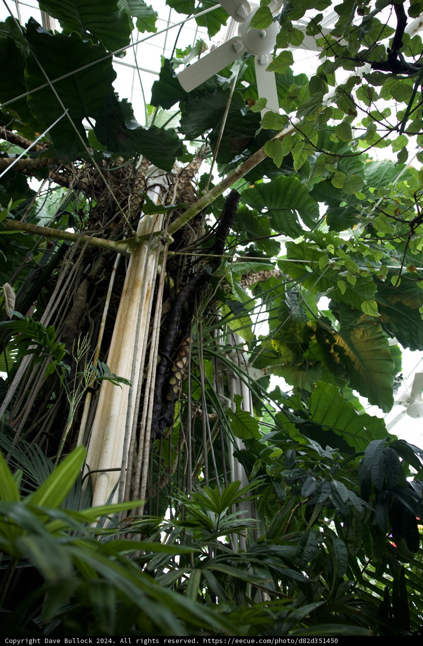 A Hidden Home: Bird Nest in the Grandeur of Golden Gate Park