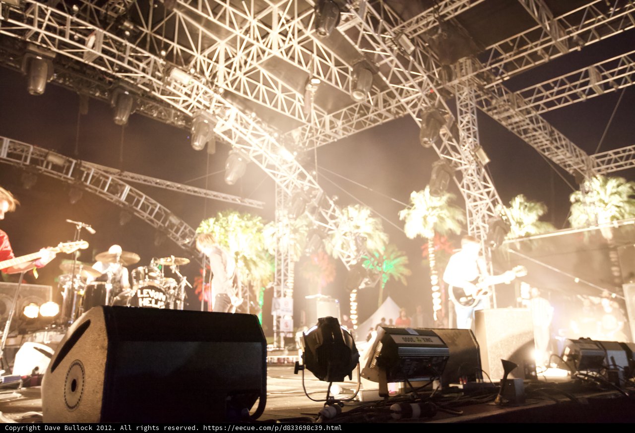 Nighttime Jamming with Palm Trees in the Background