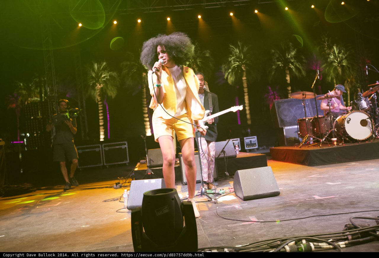 Solange's Stunning Performance at Coachella 2014
