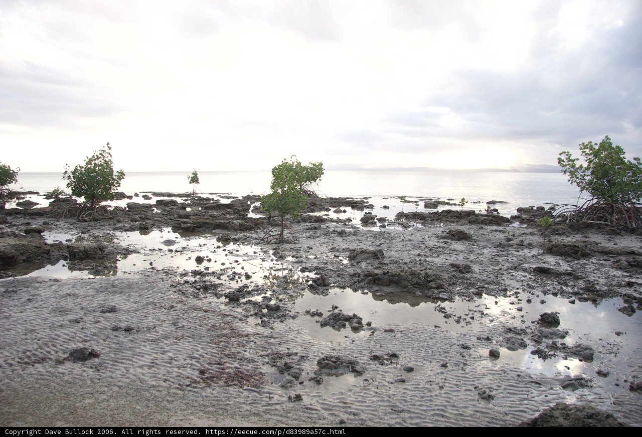 Serene Beachscape