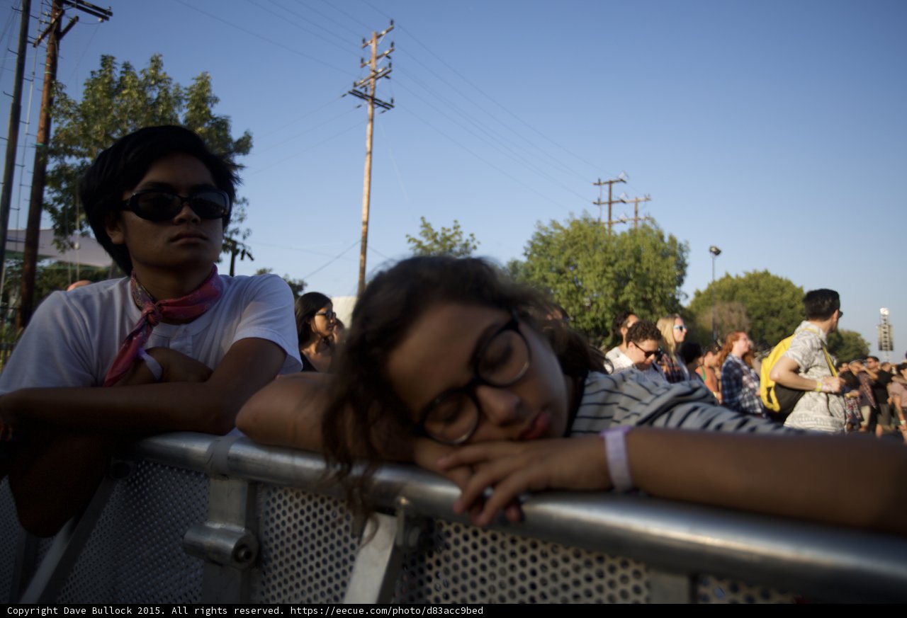 Resting on the Rail
