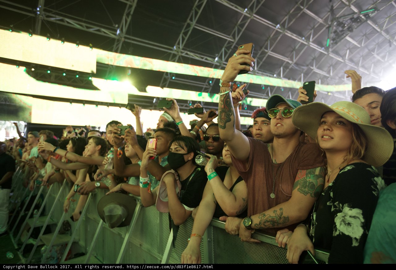 Concert Crowd Captivated by the Beat
