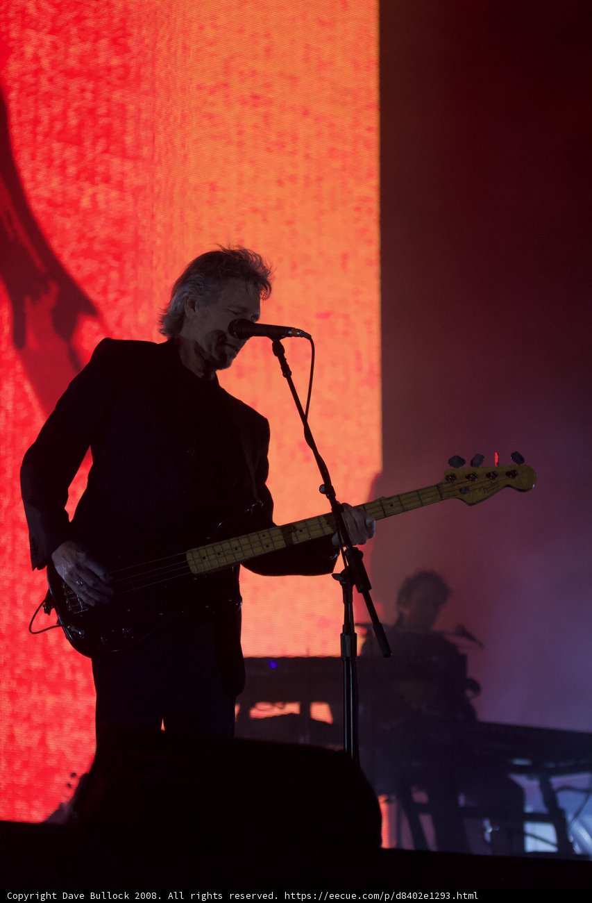 Rocking the Crowd at Coachella