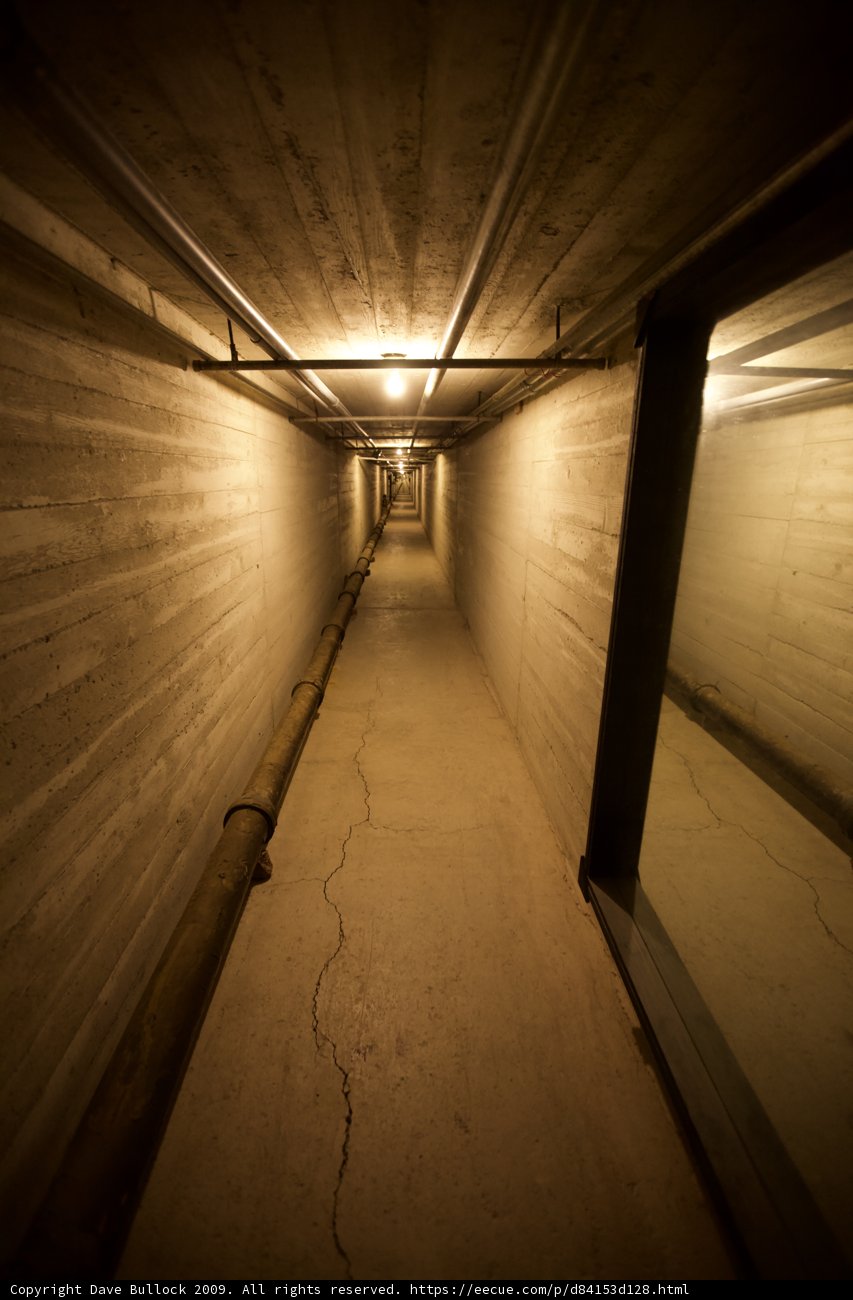 Tunnel of Light