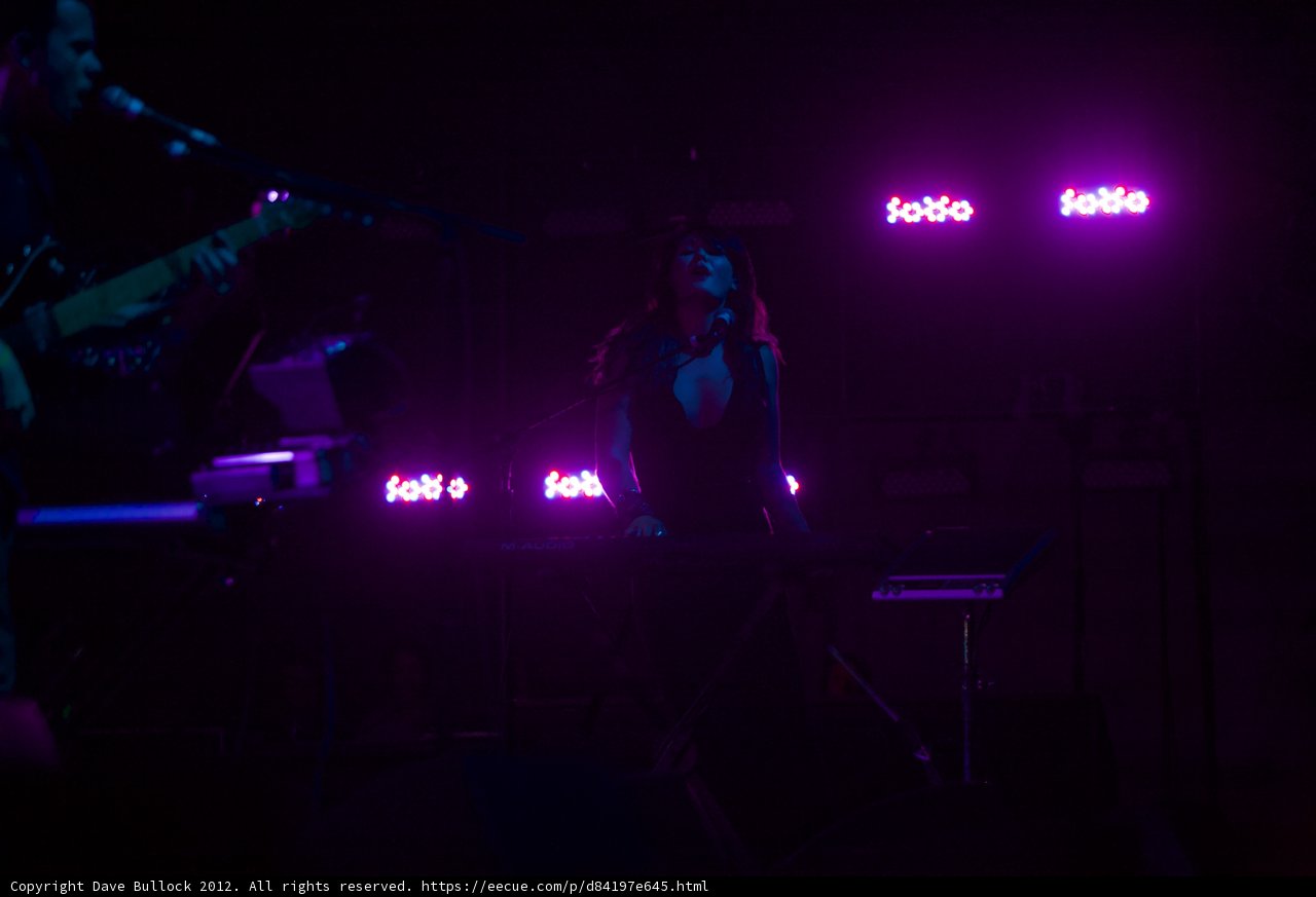 Keyboard Queen in Purple Hues