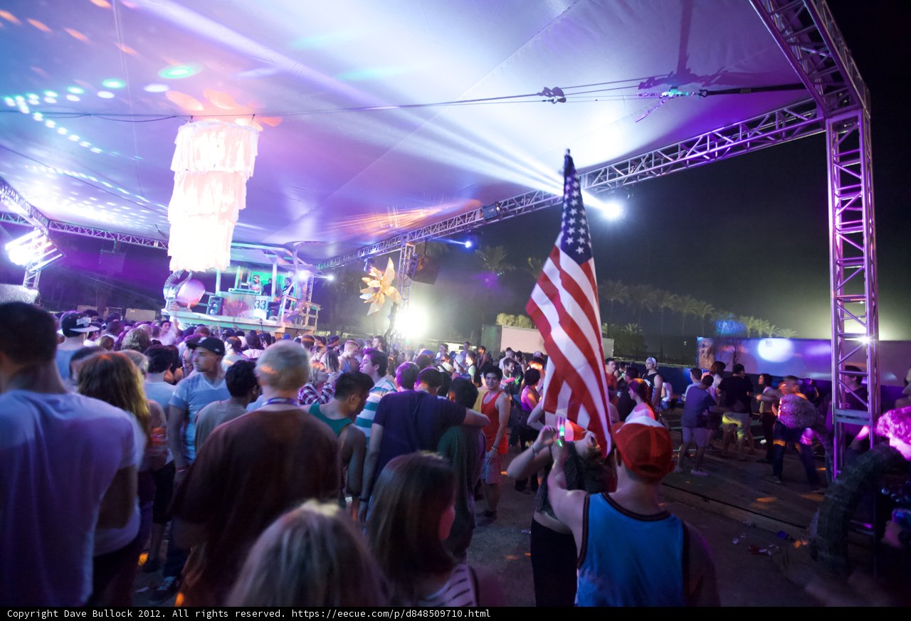 Patriotic Party-Goers