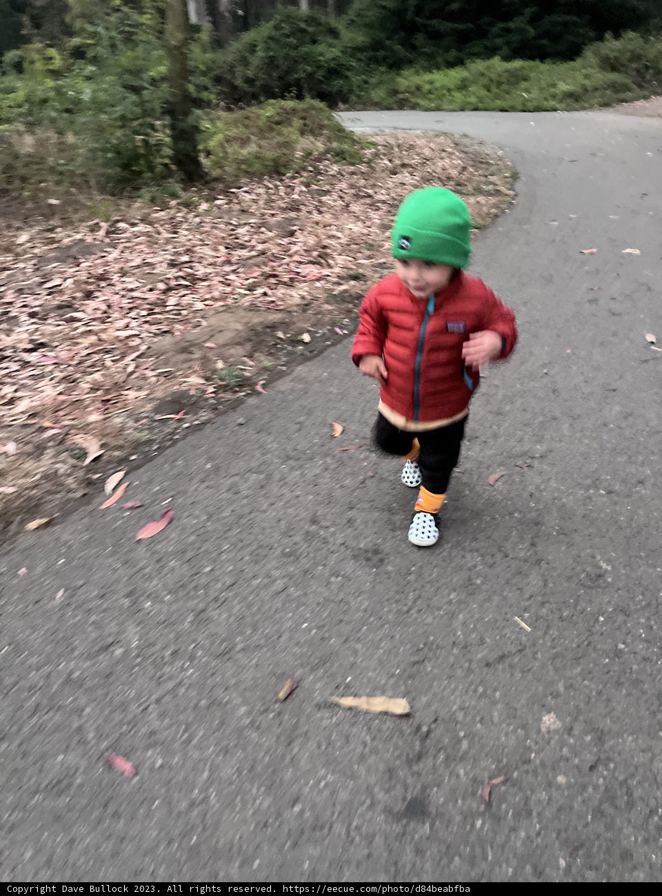 Joyful Steps in The Presidio