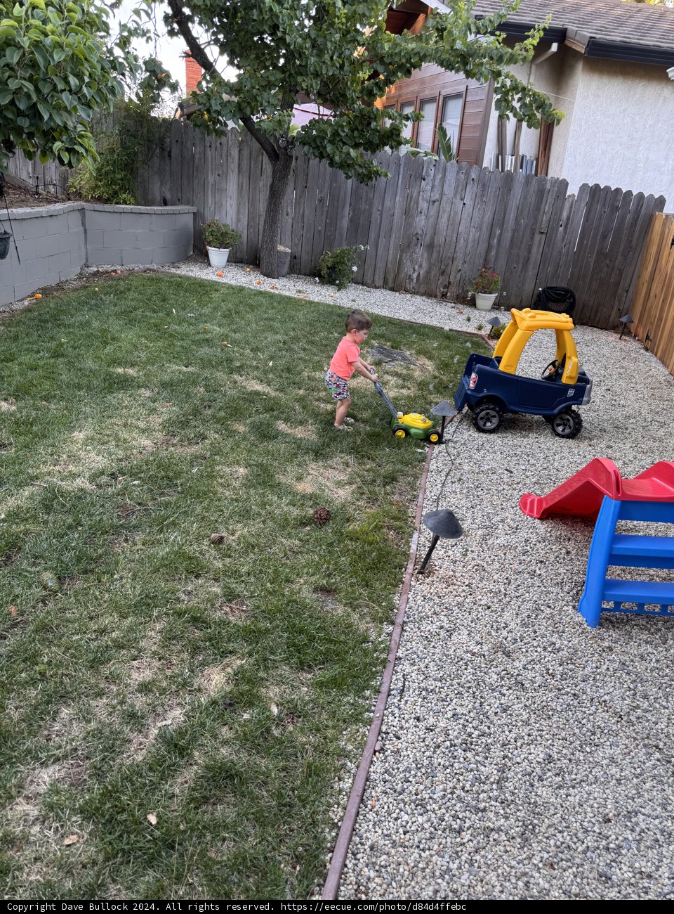 Little Gardener at Play