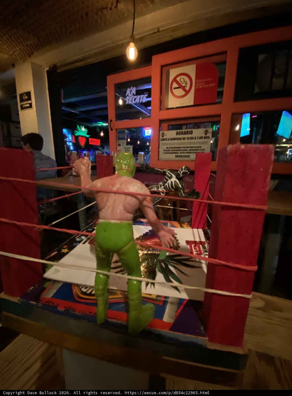 Toy Wrestling Match at the Bar