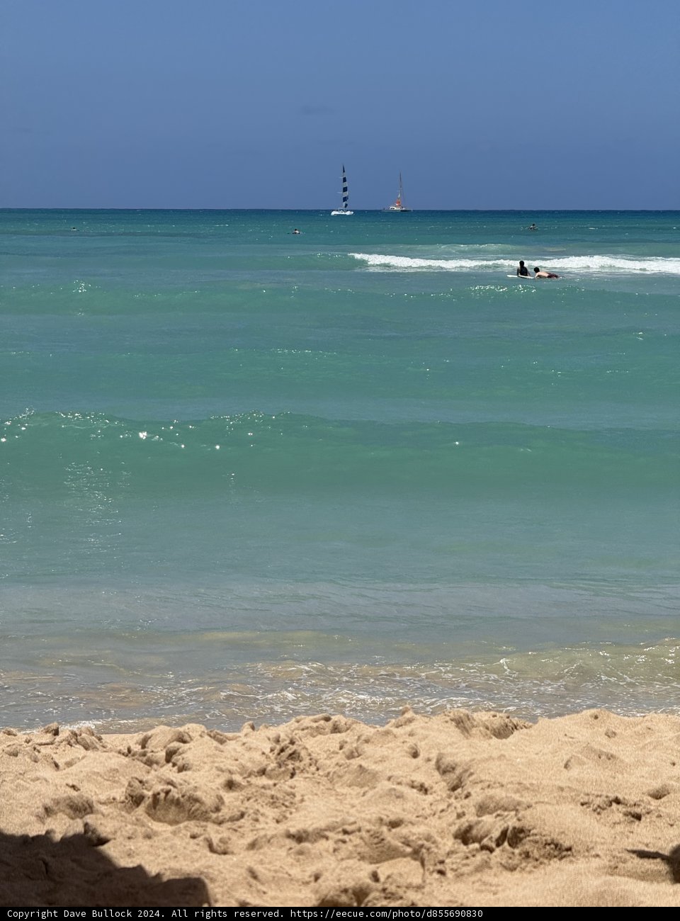 Serene Sails on Waikiki Beach