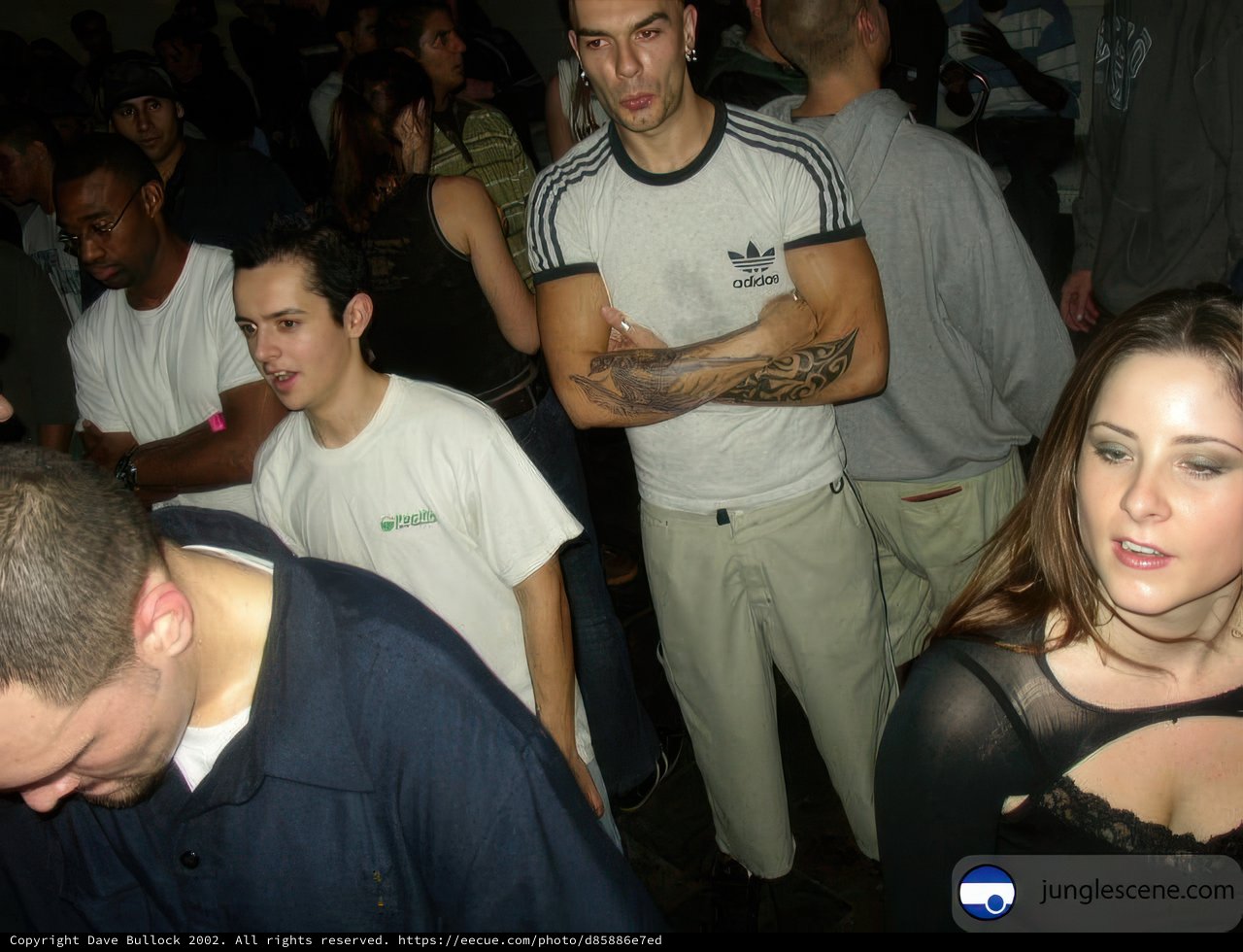 Nightclub Gathering