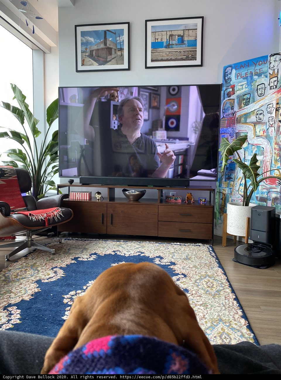 Furry Critic