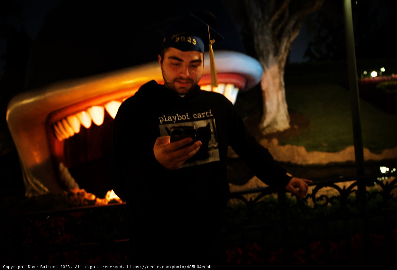 A Night to Remember at Disneyland